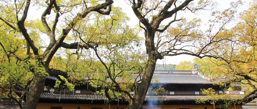 普陀山在哪个省哪个市？普陀山三大寺庙分别求什么