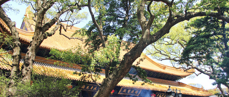 普陀山在哪个省哪个市？普陀山三大寺庙分别求什么
